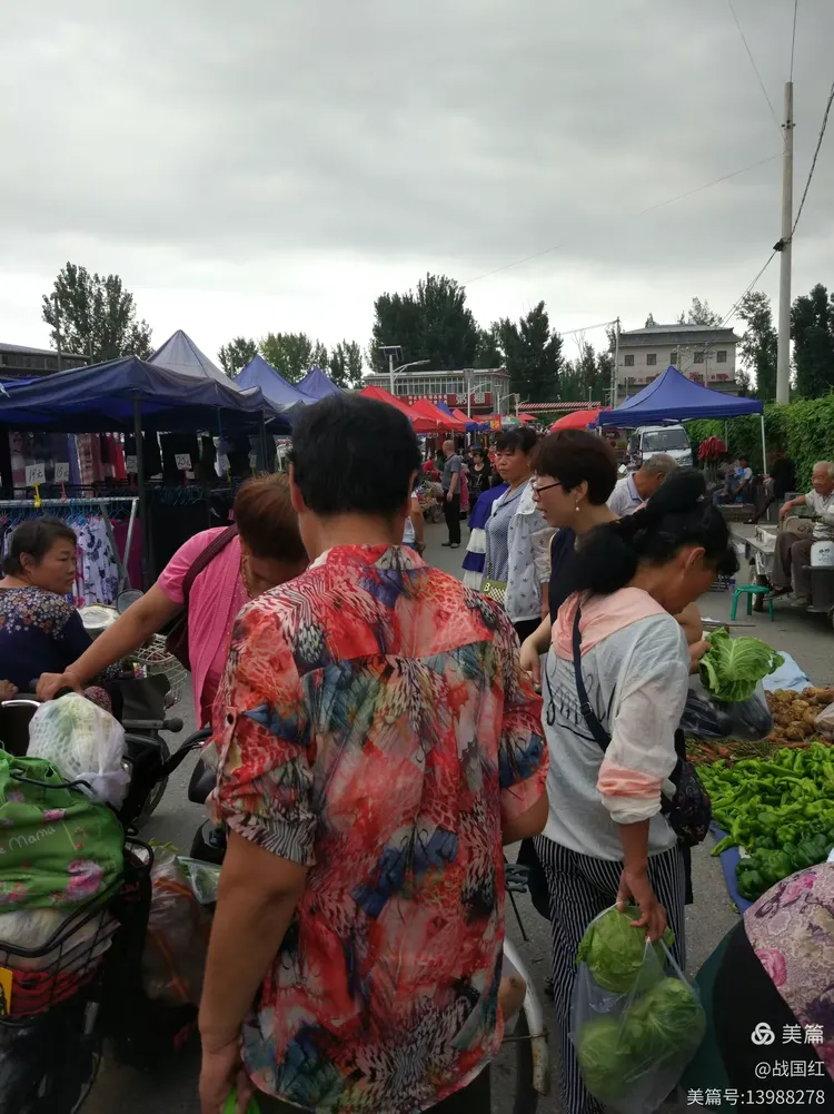 赶集是今天的活动项目之一